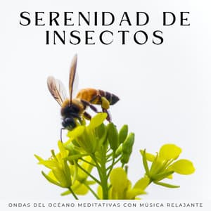 Serenidad De Insectos: Ondas Del Océano Meditativas Con Música Relajante - Misterios del océano