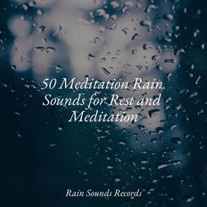 50 Meditation Rain Sounds for Rest and Meditation - Naturaleza Sonidos