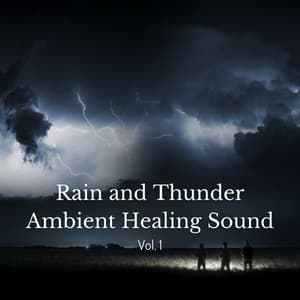 Rain and Thunder Ambient Healing Sound Vol. 1 - Morning Chill Out Playlist