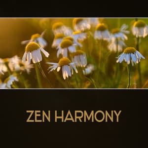 Zen Meditation Harmony – Spiritual Meditation, New Age Music, Emotional Balance, Deep Zen, Yoga Exercises for Calming Down, Spirituality, Enlightenment, Inner Peace - Natural Balance Zone