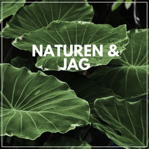 Naturen & Jag - Naturljud