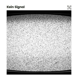 Kein Signal - Weißes Rauschen