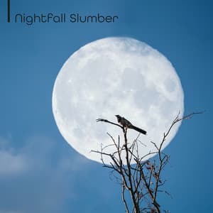 Nightfall Slumber: Guitar Deep Hibernation - Stages of Sleep Music Universe