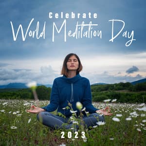 Celebrate World Meditation Day 2023 - Oasis of Relaxation and Meditation