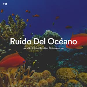 #01 Ruido Del Océano para Un Entorno Pacífico E Introspectivo - Olas del Mar