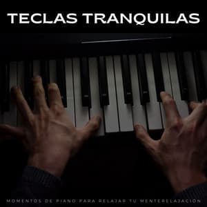 Teclas Tranquilas: Momentos De Piano Para Relajar Tu Mente - PianoSueños
