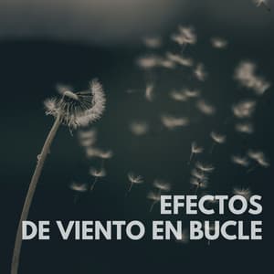 Efectos de viento en bucle - Sonidos De Agua