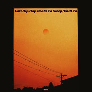 Lofi Hip Hop Beats To Sleep/Chill To - Derrol