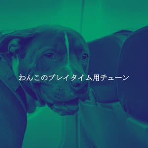 わんこのプレイタイム用チューン - Night-Time Jazz