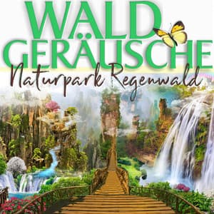 Naturpark Regenwald - Waldgeräusche