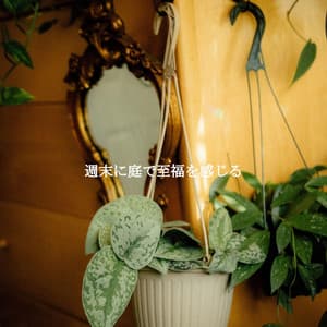 週末に庭で至福を感じる - Work from Home Groove