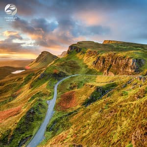 Piano Oasis - Soothing Ambient