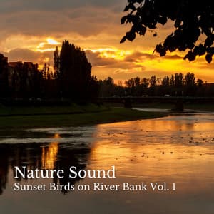Nature Sound: Sunset Birds on River Bank Vol. 1 - Relaxing Spa Music