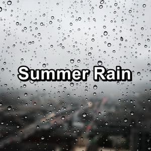 Summer Rain - Nature Sounds Factory STHLM