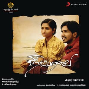 Neerparavai - N.R. Raghunanthan