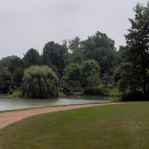 Background Sounds, Vol 2 - Goodnight Sleep Sounds