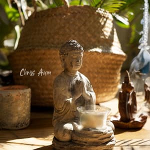Zen Oasis & Buddhist Room of Pure Calm - Chriss Aum