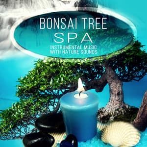 Bonsai Tree Spa - Instrumental Music with Nature Sounds for Massage Therapy, Mindfulness Meditation Spiritual Healing, Mind and Body Harmony, New Age, Reiki, Harmony of Senses - Feng Suji Consort