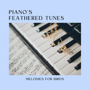 Piano's Feathered Tunes: Melodies for Birds - Piano Animal