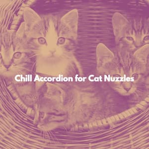 Chill Accordion for Cat Nuzzles - Lunch Time Music