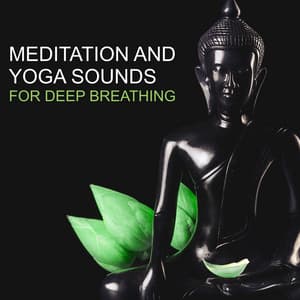 Mediation and Yoga Sounds for Deep Breathing – Life with Harmony, Healing Reiki, Find Your Natural Balance and Inner Peace - Breathe Music Universe