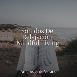 Sonidos De Relajación Mindful Living - Saludo al Sol Sonido Relajante
