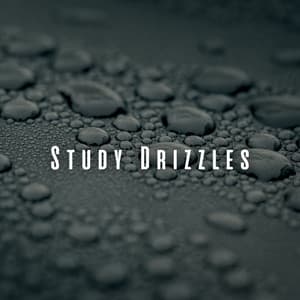 Study Drizzles: Chill Music and Rain Melodies - Rained