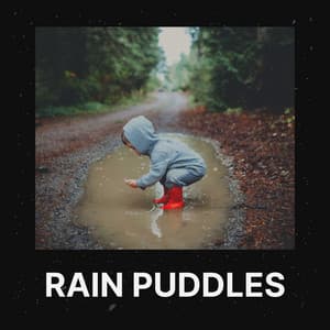 Rain Puddles - Rain Lullaby