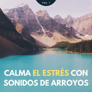 Calma El Estrés Con Sonidos De Arroyos Vol. 1 - Marinos