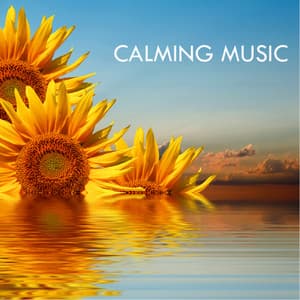 Calming Music - First Genesis