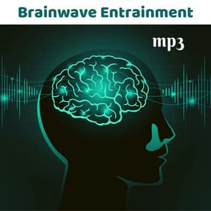 Brainwave Entrainment mp3 - Relaxing Delta Waves - Brain Food