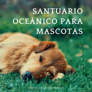 Santuario Oceánico Para Mascotas: Abrazo De La Naturaleza - Laboratorio de la Naturaleza