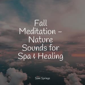 Fall Meditation - Nature Sounds for Spa & Healing - Rain