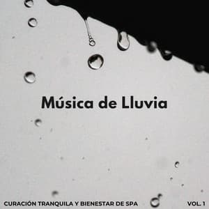 Música De Lluvia: Curación Tranquila Y Bienestar De Spa Vol. 1 - Sonido de lluvia