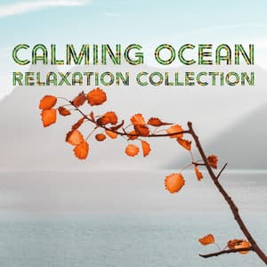 Calming Ocean Relaxation Collection - White Noise Beach Sounds
