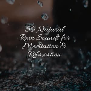 50 Natural Rain Sounds for Meditation & Relaxation - Nature Sounds Artists