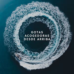 Gotas Acogedoras Desde Arriba - Colmena de Lluvia