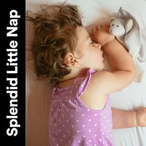 Splendid Little Nap - Kids Music