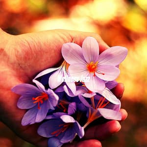 Wellness Jazz - French Cafe Music