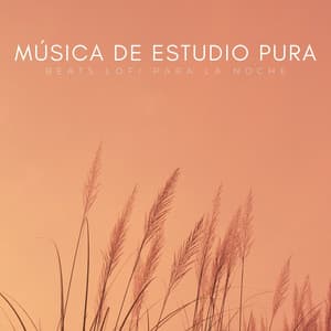 Música De Estudio Pura: Beats Lofi Para La Noche - Estudio lofi