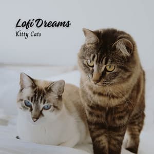 Lofi Dreams: Kitty Cats - LO-FI BEATS