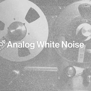 Analog White Noise - Best Noise
