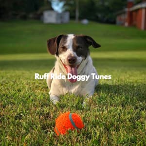 Ruff Ride Doggy Tunes - Songs for Dogs to Sleep To