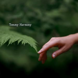 PTSD Healing - Tommy Harmony
