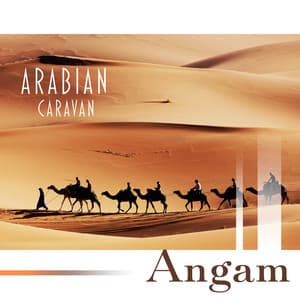 Arabian Caravan: Meditation on a Sacred Desert - Angam