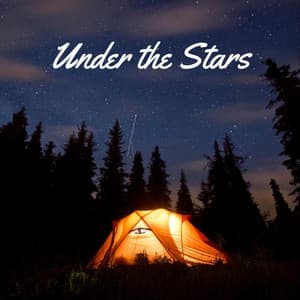 Under the Stars - Beach Top Sounders