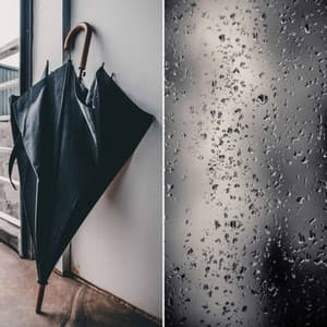 Luxurious Backdrop for Calming Fridays - Playlist du Dîner