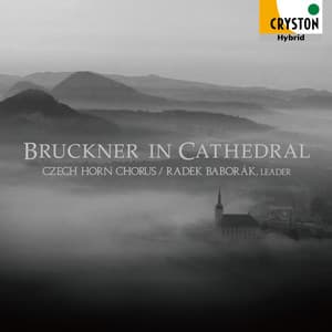 Bruckner in Cathedral - Anton Bruckner