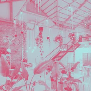 Tenor Sax Jazz - Ambiance for Casual Restaurants - Jazz Café Bar