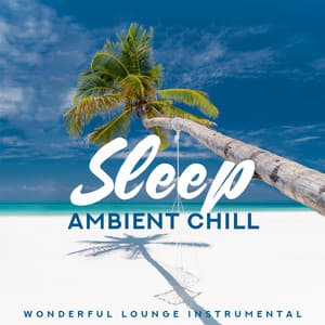 Sleep Ambient Chill: Wonderful Lounge Instrumental - Tropical Dream, Calm Mind & Summer Time - Tropical Chill Paradise